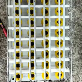 Plating and washing trays